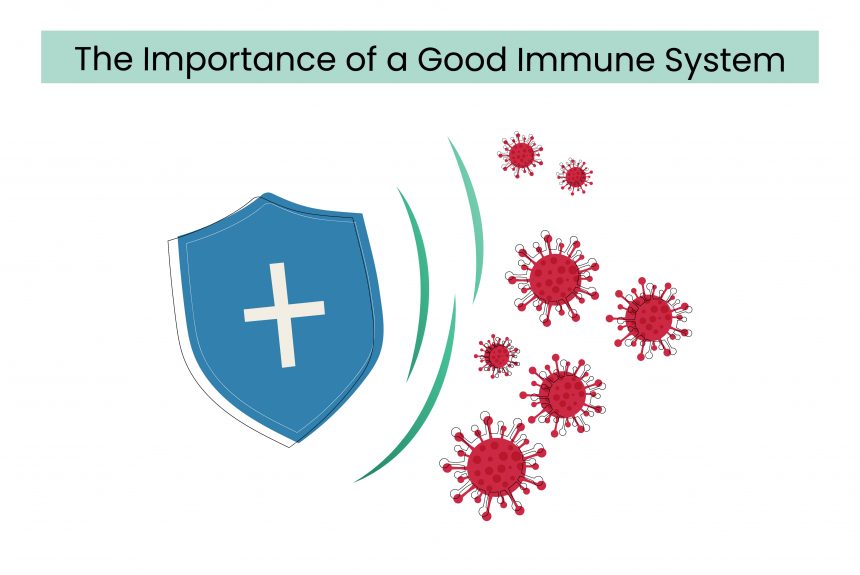 The Importance of a Good Immune System