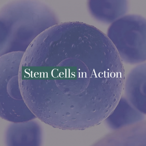 Stem Cells in Action