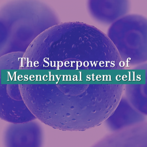 The Superpowers of Mesenchymal Stem Cells