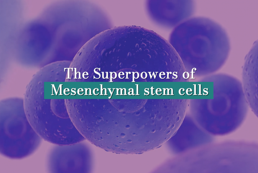The Superpowers of Mesenchymal Stem Cells