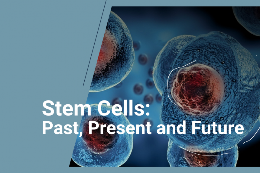 Stem Cells: Past, Present and Future