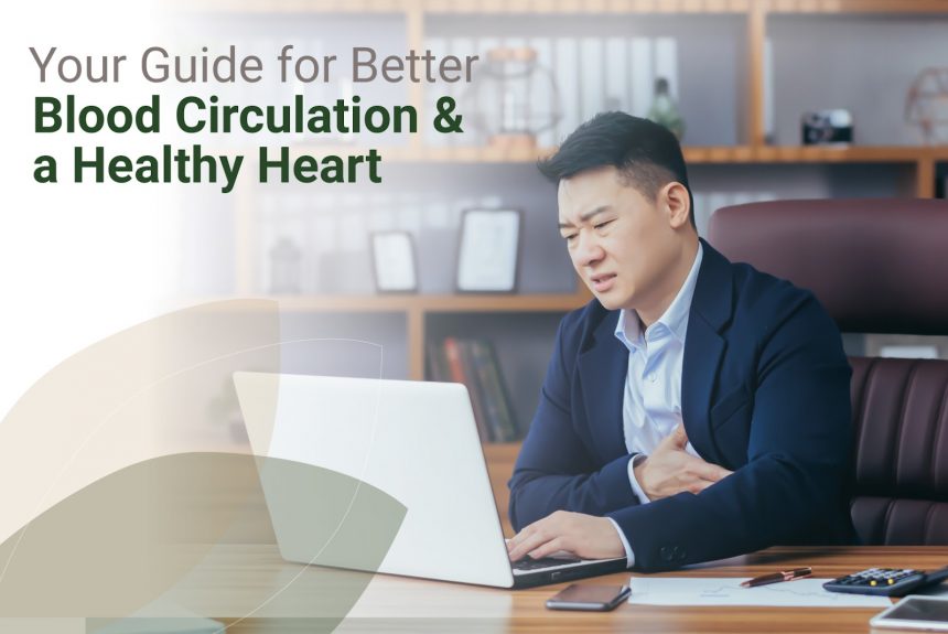 Your Guide for Better Blood Circulation and a Healthy Heart