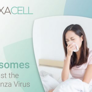 Exosomes Against the Influenza Virus
