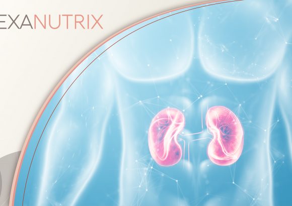 Exânutrix: Helping You to Get Personal with Your Kidney Health